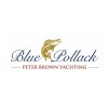 Blue Pollack